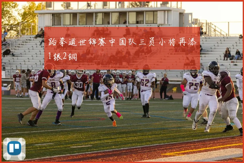 跆拳道世锦赛中国队三员小将再添1银2铜